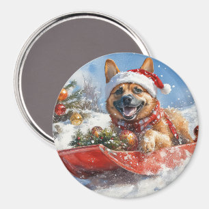 Aimant Malinoi belge dans la boue Laisser neiger Noël