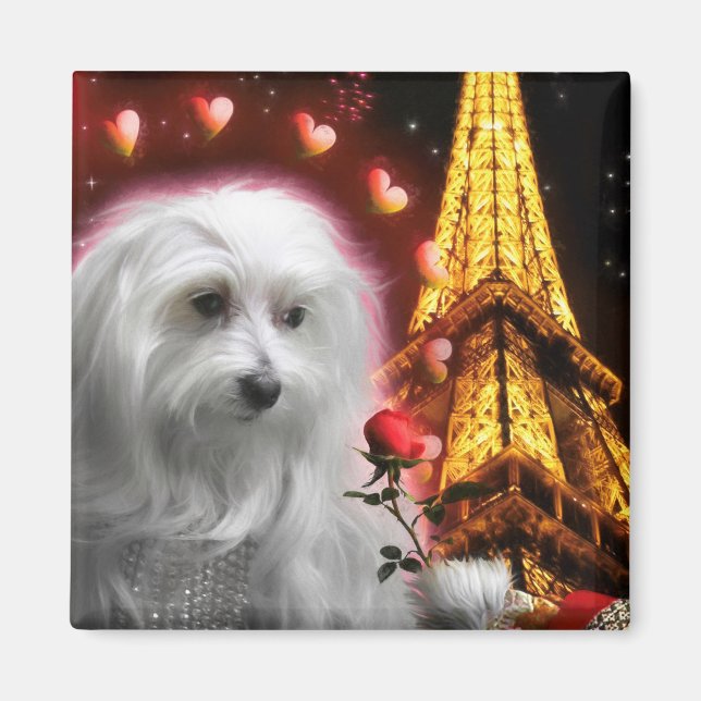Aimant Maltese Dog Eiffel Tower The SPARK OF LOVE ! (Devant)