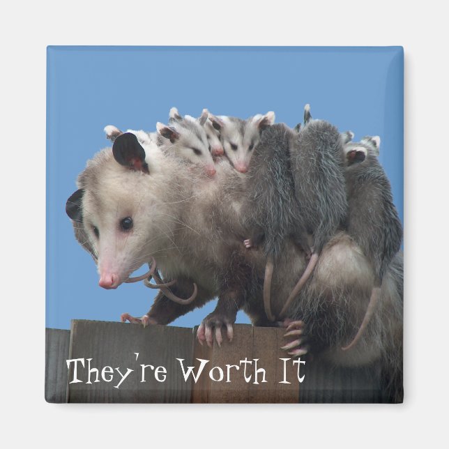 Aimant Mama Possum Babies Pro-Life humoristique (Devant)