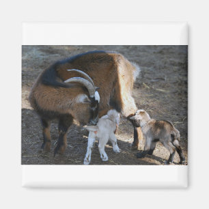 Aimant Maman et bébés