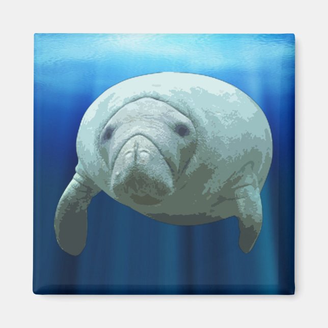 Aimant Manatee (Devant)