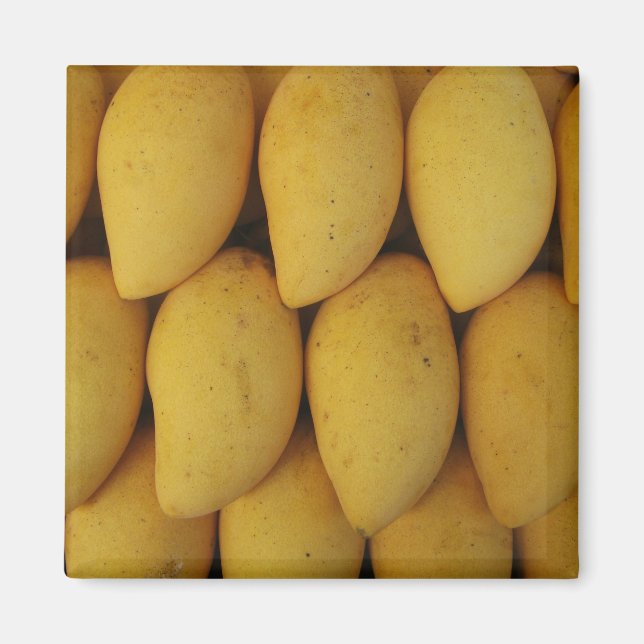 Aimant Mango (Devant)
