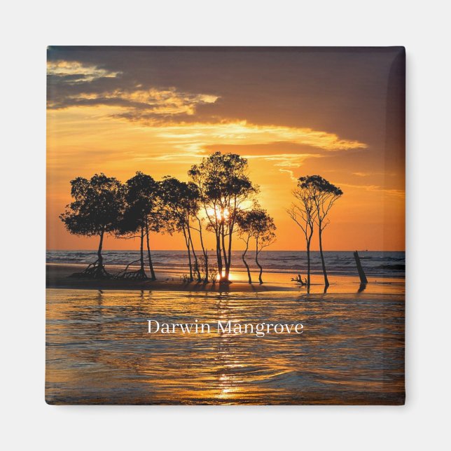 Aimant Mangrove de Darwin, Australie, (Devant)