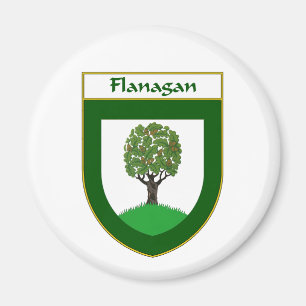 Aimant Manteau de Flanagan des bras/de crête de famille