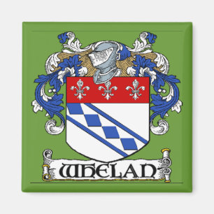 Aimant Manteau de Whelan d'aimant de bras