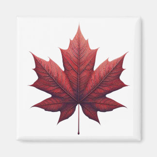 Aimant Mapel leaf