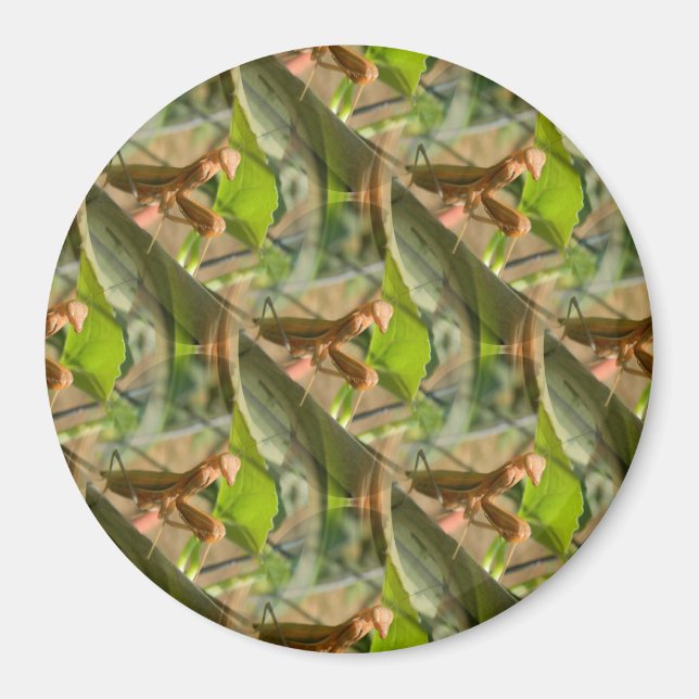 Aimant Marchin'On.... (Devant)