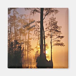 Aimant Marécage d'Okefenokee