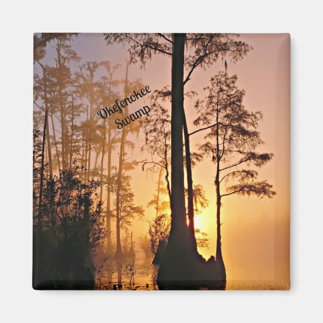 Aimant Marécage d'Okefenokee (Devant)