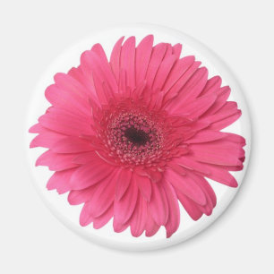 Aimant Marguerite de Gerber