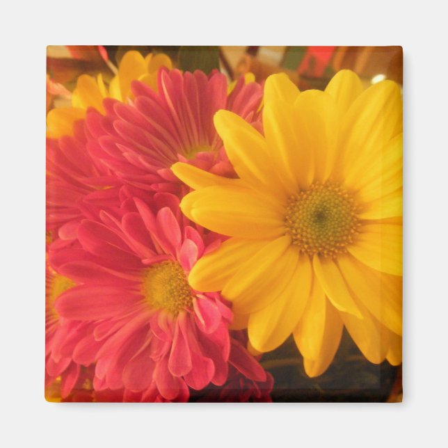 Aimant Marguerite rose et jaune (Devant)