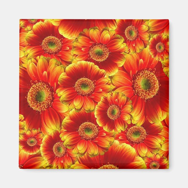 Aimant Marguerites de Gerbera jaune et orange (Devant)