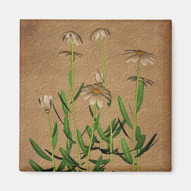 Aimant Marguerites sur floral de papier âgé (Devant)