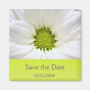 Aimant mariage de fleur marguerite blanche