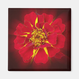 Aimant marigold rouge vif