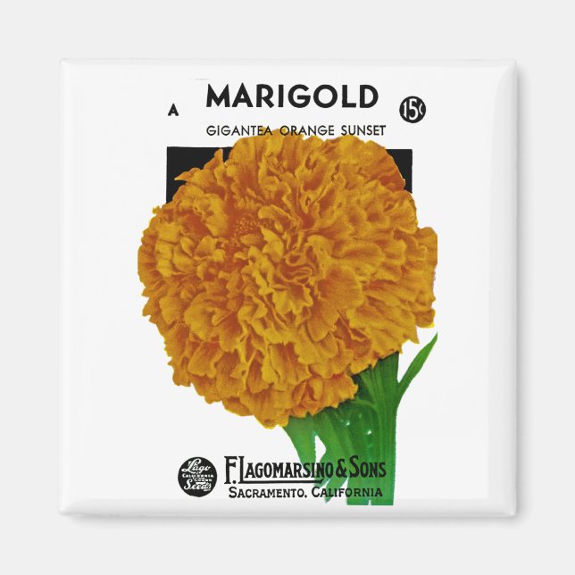 Aimant Marigold Vintage Seed Packet (Devant)