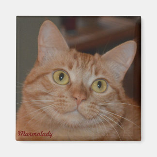 Aimant Marmalady & "Le Sourire"