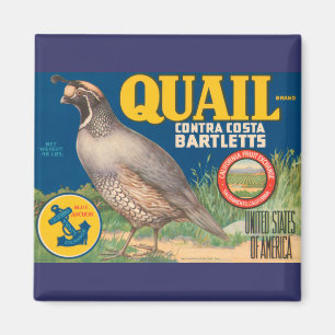 Aimant Marque Quail Contra Costa Bartletts