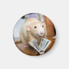 Marty Mouse aime lire l'aimant