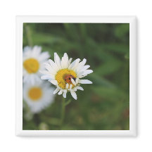 Masquer et rechercher