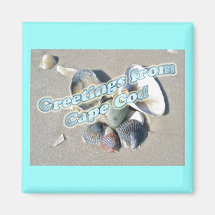 Aimant Massachusetts Cape Cod - Shell & Surf