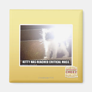 Aimant Masse critique Kitty