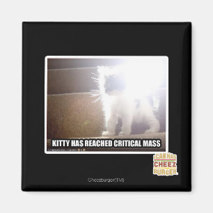 Aimant Masse critique Kitty
