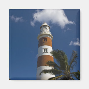 Aimant Maurice, l'ouest de l'île Maurice, Belle Vue, Alb