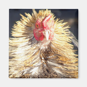 Aimant Mauvaise journée de plume