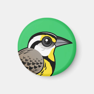 Aimant Meadowlark oriental