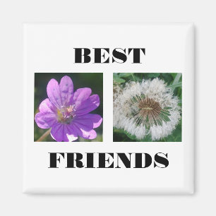 Aimant Meilleur Modèle d'images des amis