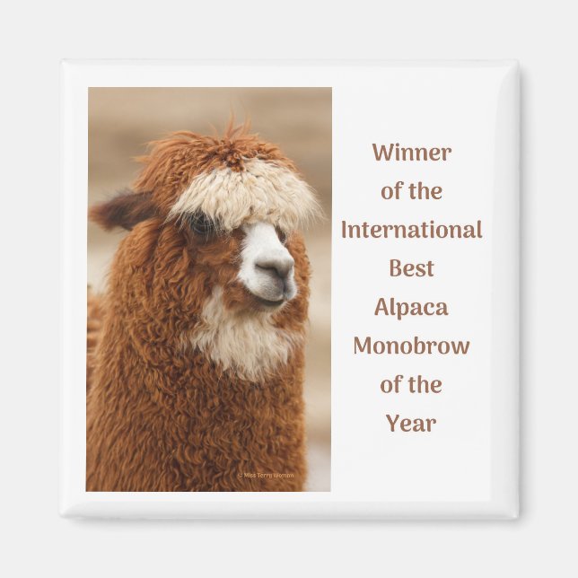 Aimant Meilleure Monobrow d'Alpaca (Devant)
