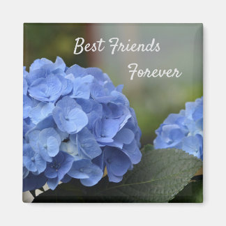 Aimant Meilleurs amis pour toujours Hydrangeas