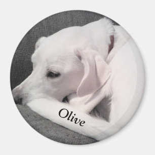 Aimant Mélange blanc Labrador Mix Chien Mettez votre nom 