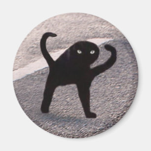 Aimant Mème de chat maudit aimanté