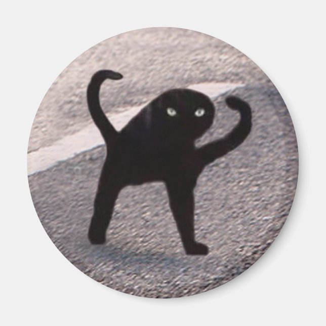 Aimant Mème de chat maudit aimanté (Devant)
