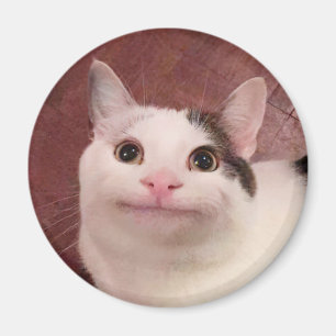 Aimant mème de chat poli