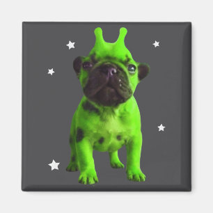 Aimant Mème de chien extraterrestre Rétro Chien idiot Esp