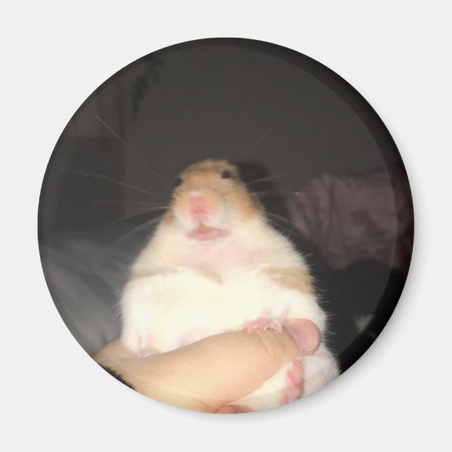 Aimant Mème de hamster laid (Devant)