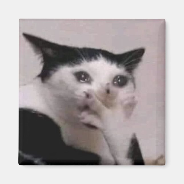 Aimant Mème du chat haletant (Devant)