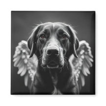 Memorial Angel Chien Labrador