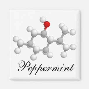 Aimant Menthe poivrée