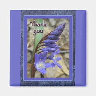 Aimant Merci bleu sauvage Hyacinth