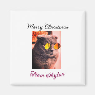 Aimant Merveilleux chien de chat de Noël animal de compag