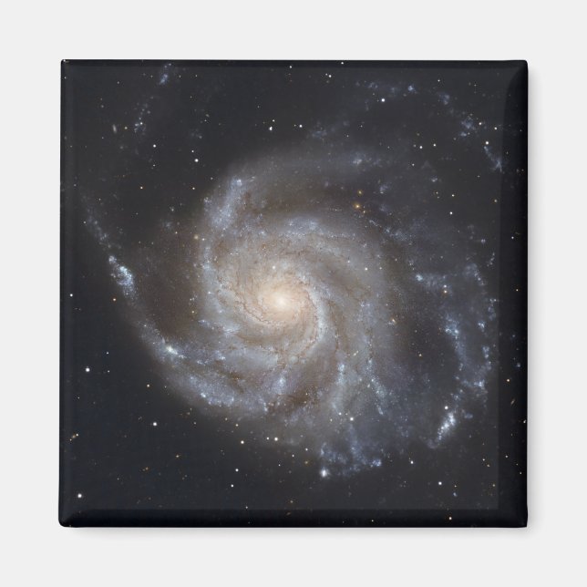 Aimant Messier 101, la galaxie Pinwheel (Devant)