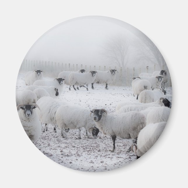 Aimant Météo incorrecte (Devant)