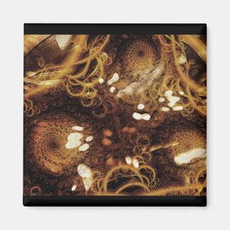 Aimant Météo Jackolantern