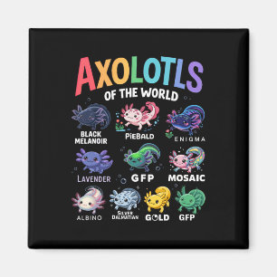 Aimant Mets Axolotls Du Monde Kawaii Axolotl Cute Art