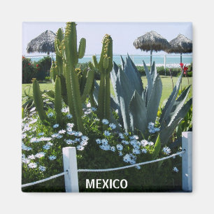 AIMANT MEXICO CACTI