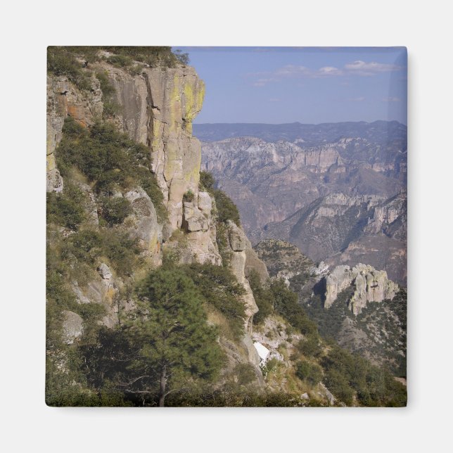 Aimant Mexique, Etat du Chihuahua, Canyon du cuivre. CE 2 (Devant)